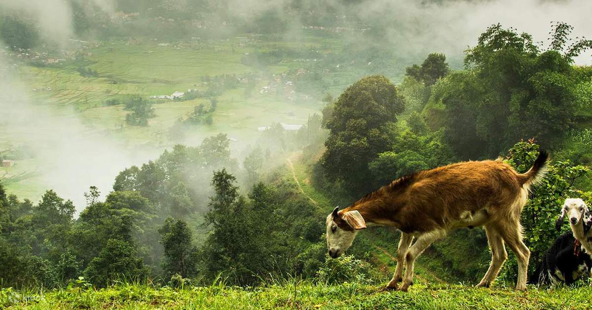 Nagarkot day hike 2025